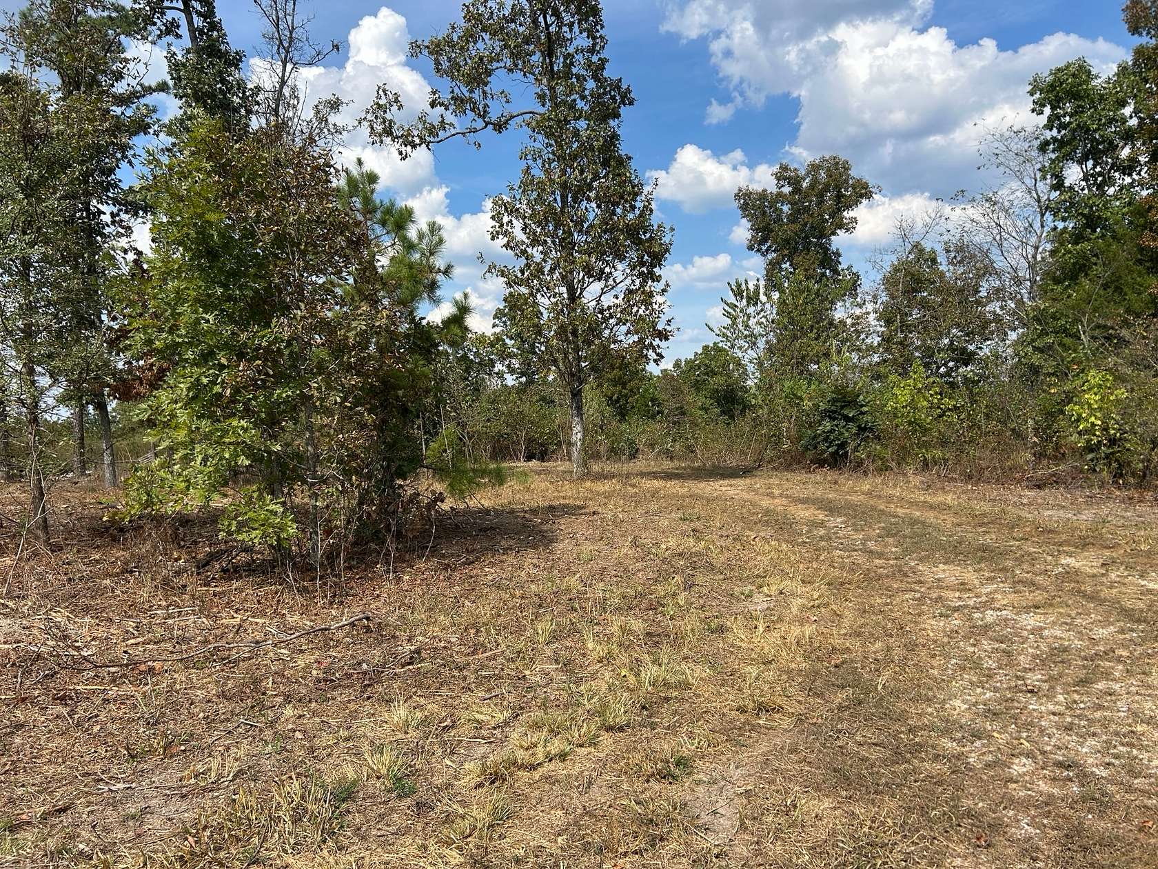 8.29 Acres of Land for Sale in Ava, Missouri