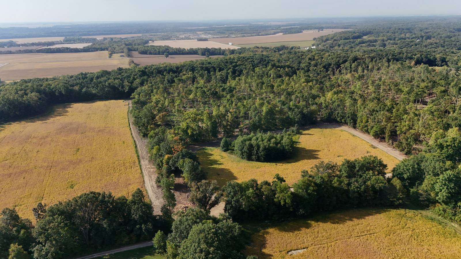 80 Acres of Land for Sale in Williamsport, Indiana