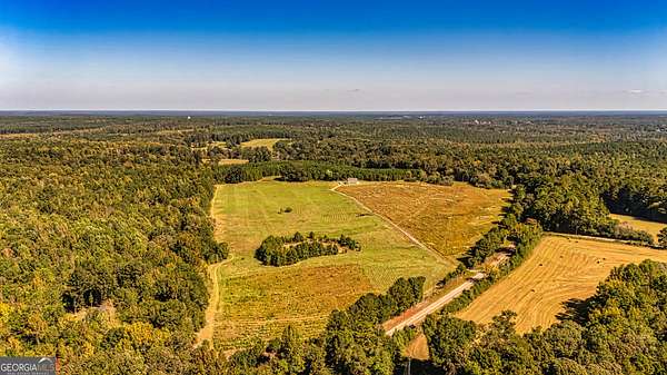 41.5 Acres of Land for Sale in Greenville, Georgia