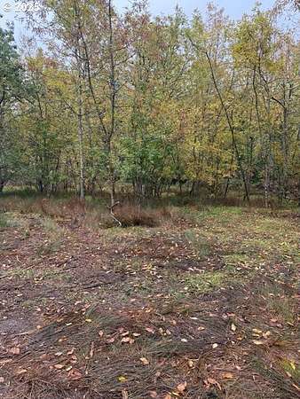 8 Acres of Land for Sale in Brownsville, Oregon