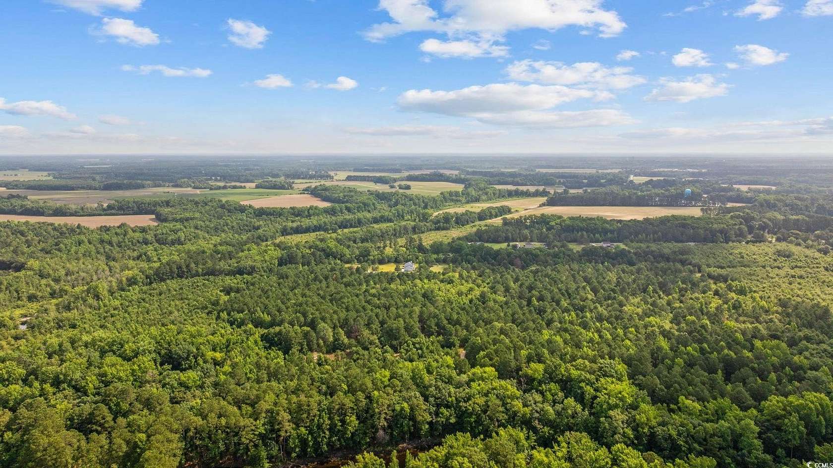 44 Acres of Recreational Land for Sale in Bennettsville, South Carolina