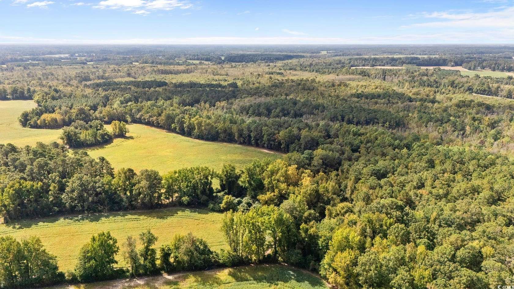 123 Acres of Recreational Land for Sale in Fork, South Carolina
