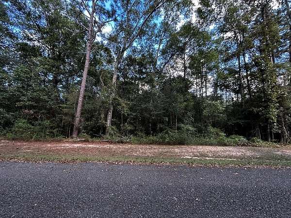 2.3 Acres of Residential Land for Sale in Carriere, Mississippi