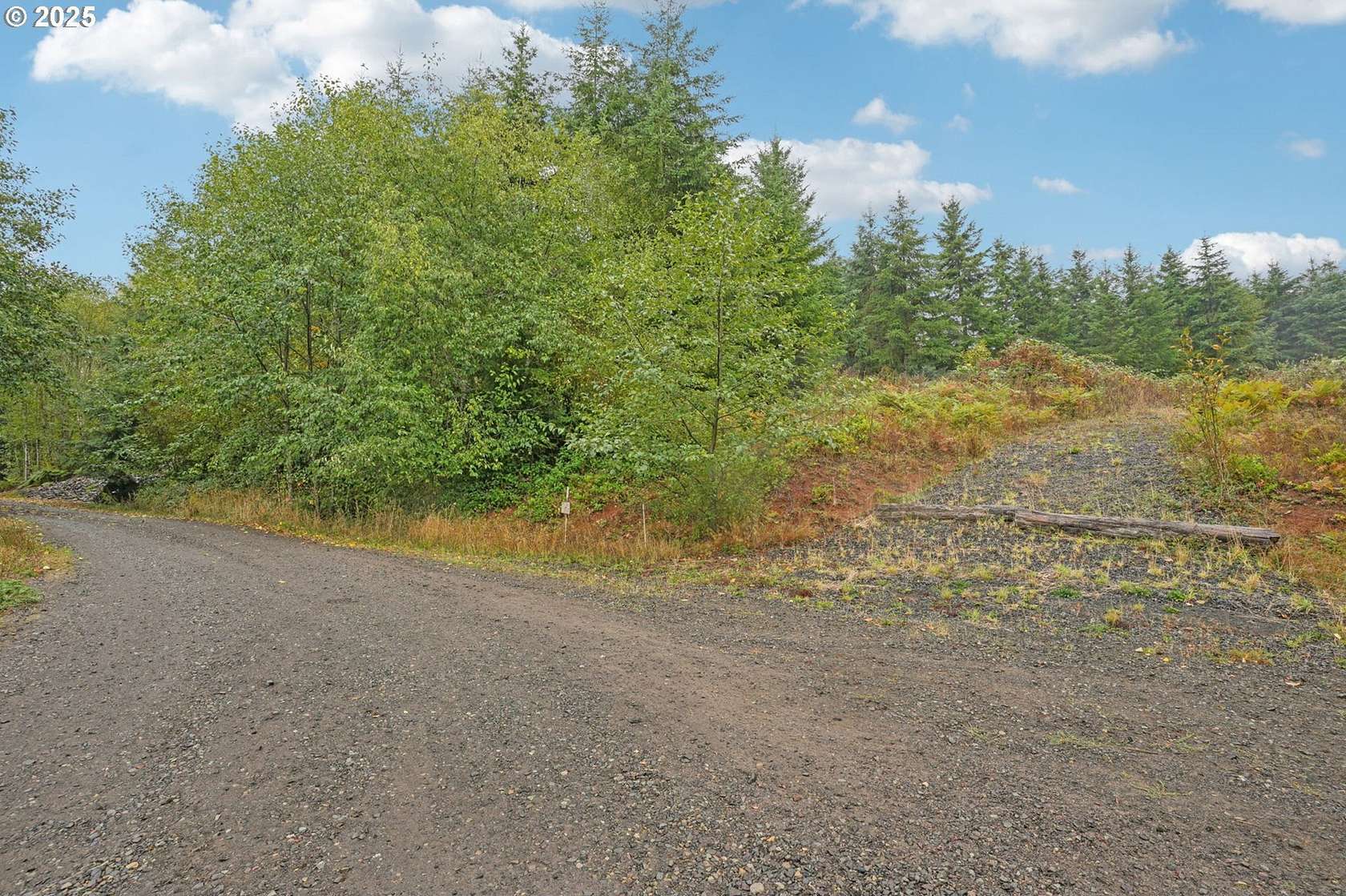 5 Acres of Residential Land for Sale in Castle Rock, Washington