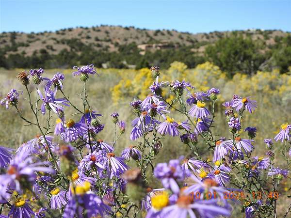 10.7 Acres of Land for Sale in Santa Fe, New Mexico