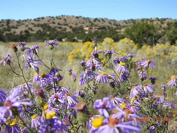 10.7 Acres of Land for Sale in Santa Fe, New Mexico