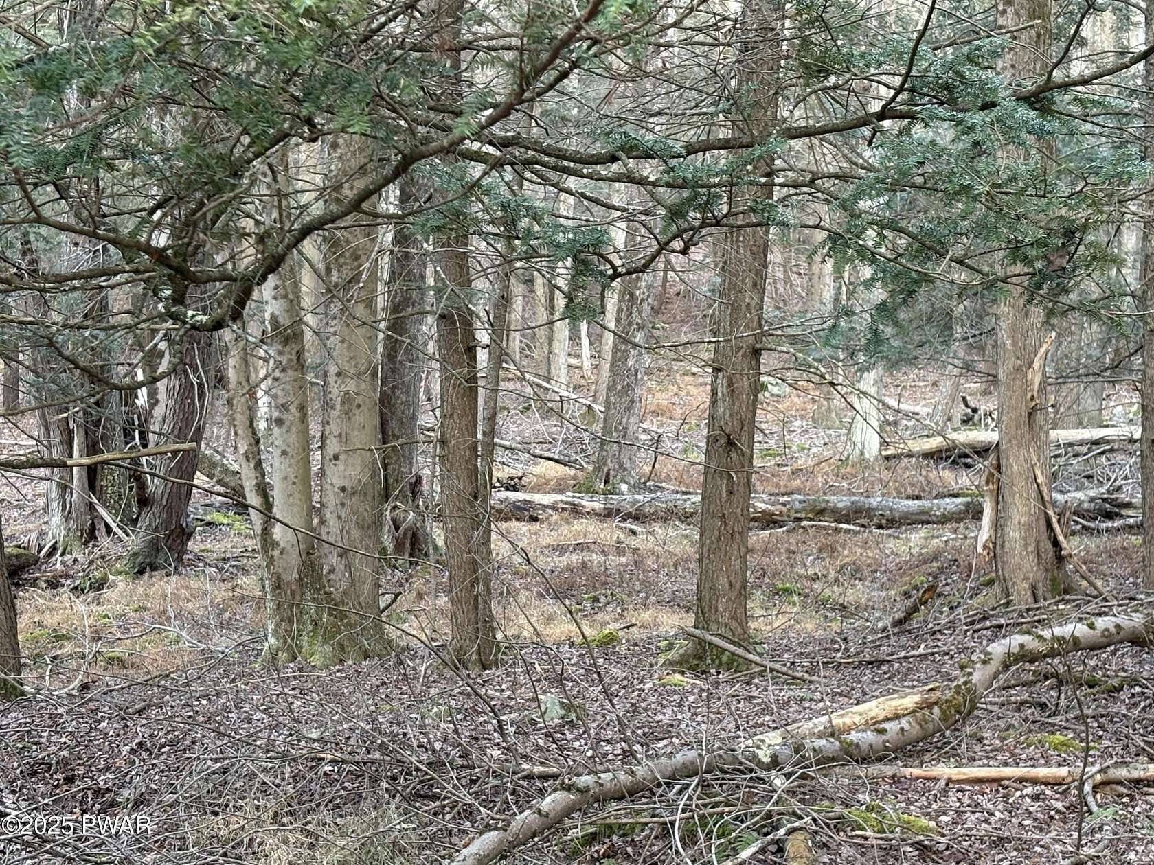 0.38 Acres of Residential Land for Sale in Lake Ariel, Pennsylvania