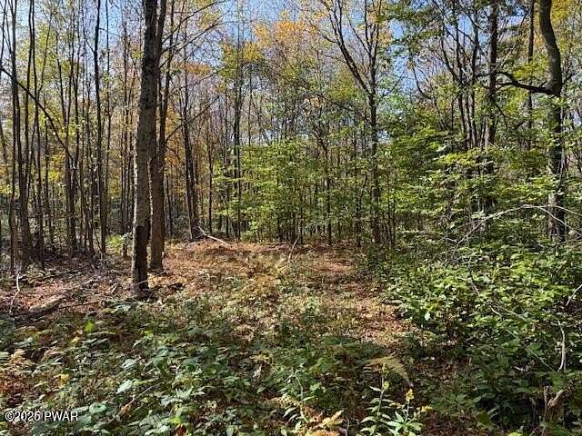 120 Acres of Land for Sale in Starrucca, Pennsylvania