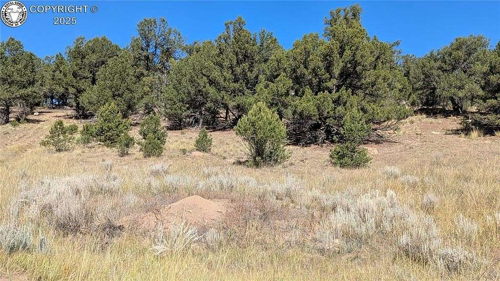 5 Acres of Land for Sale in Cañon City, Colorado