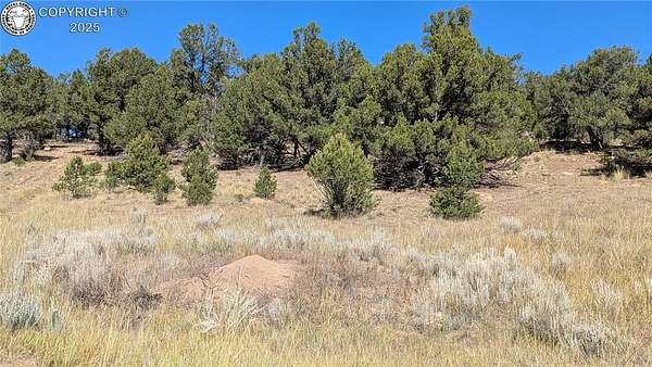 5 Acres of Land for Sale in Cañon City, Colorado