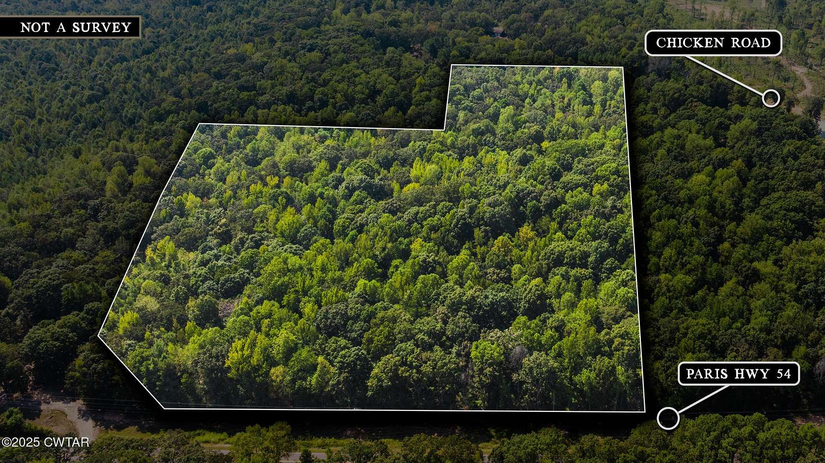 18.1 Acres of Land for Sale in Dresden, Tennessee