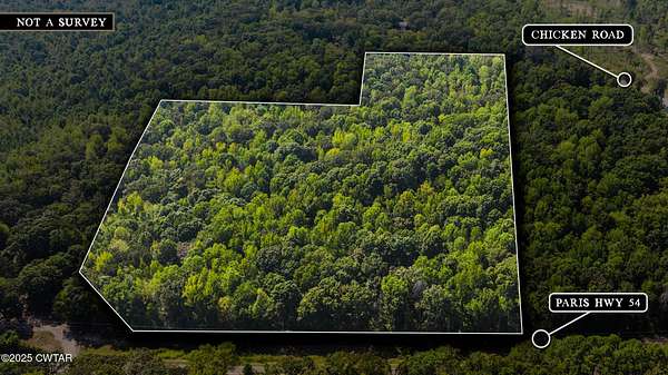 18.1 Acres of Land for Sale in Dresden, Tennessee