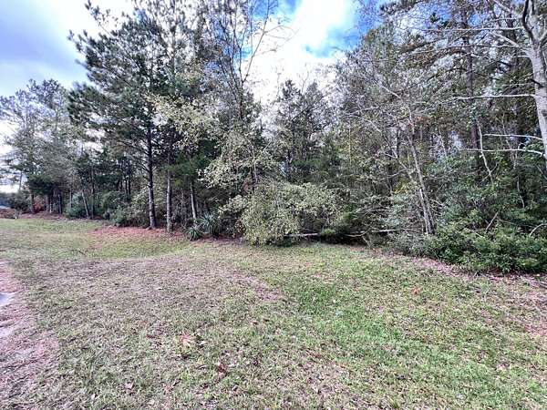6.6 Acres of Residential Land for Sale in Appling, Georgia