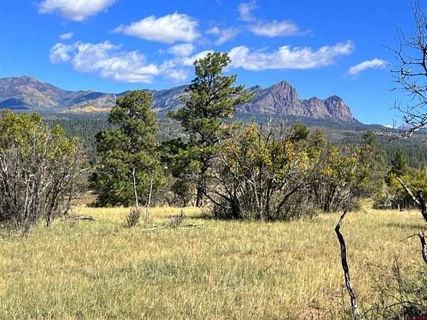 3 Acres of Land for Sale in Pagosa Springs, Colorado