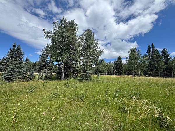 2.33 Acres of Residential Land for Sale in Angel Fire, New Mexico