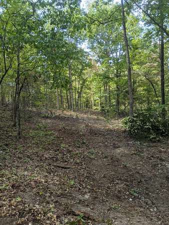 9.77 Acres of Residential Land for Sale in Dora, Missouri