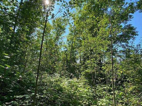 2.5 Acres of Residential Land for Sale in Gaylord, Michigan
