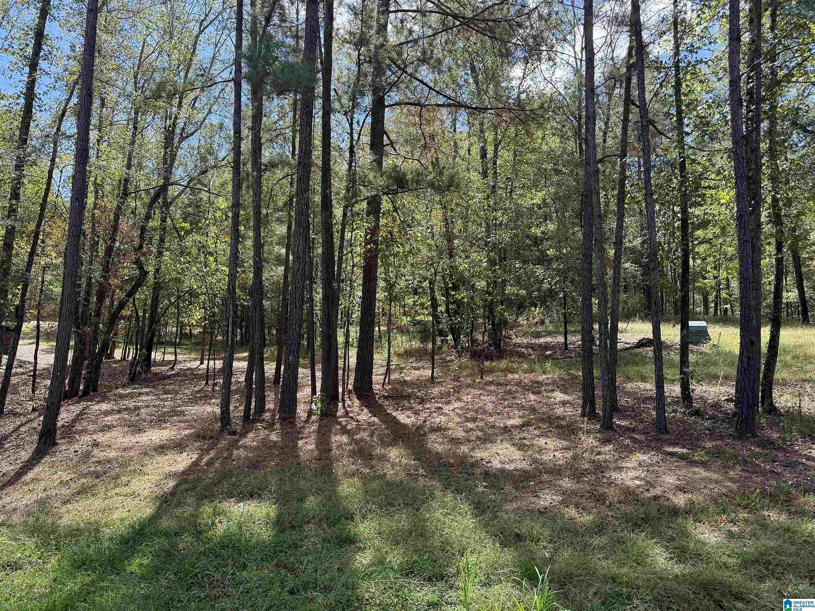 1.37 Acres of Residential Land for Sale in Bessemer, Alabama