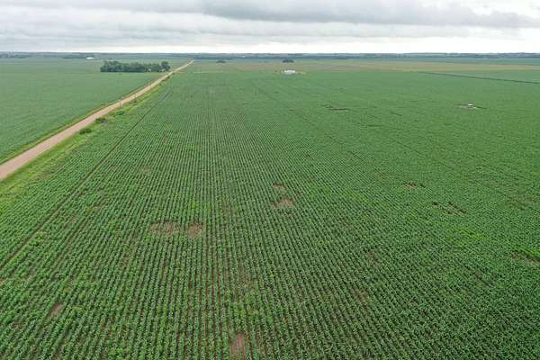 86.5 Acres of Agricultural Land for Sale in Polk, Nebraska