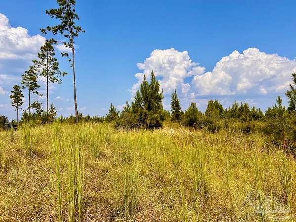 4.19 Acres of Residential Land for Sale in Molino, Florida