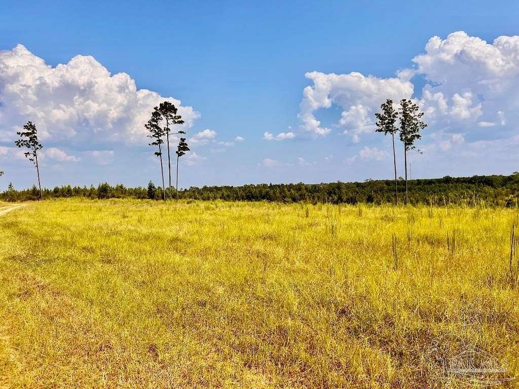 6.12 Acres of Residential Land for Sale in Molino, Florida