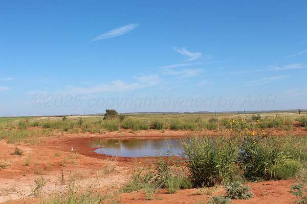 325 Acres of Land for Sale in Amarillo, Texas