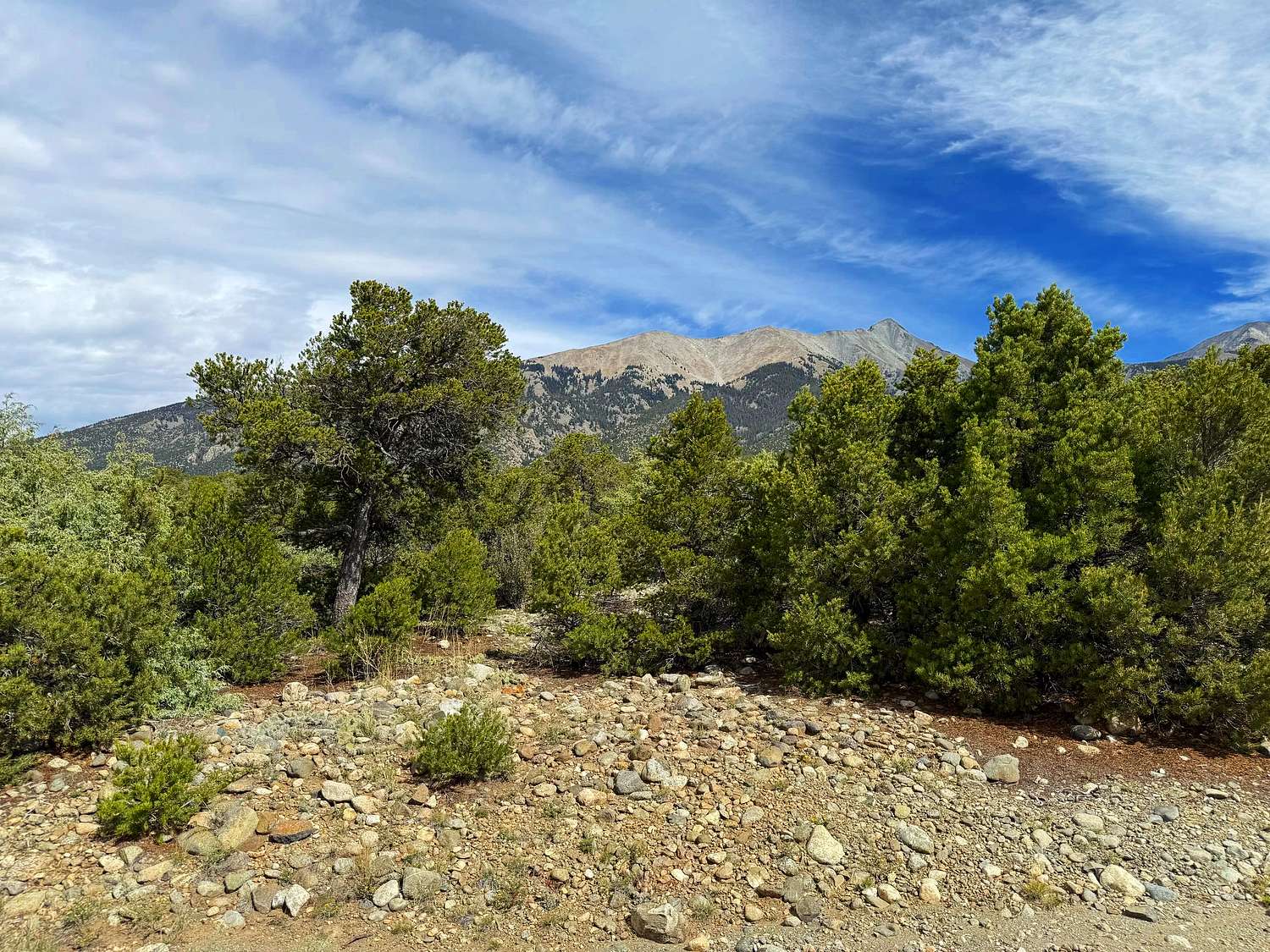 5 Acres of Land for Sale in Blanca, Colorado