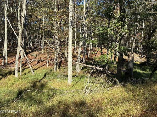 1 Acre of Residential Land for Sale in Milford, Pennsylvania