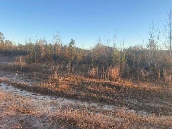 4 Acres of Residential Land for Sale in Waynesboro, Mississippi