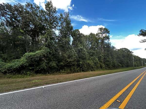 8 Acres of Land for Sale in Carriere, Mississippi