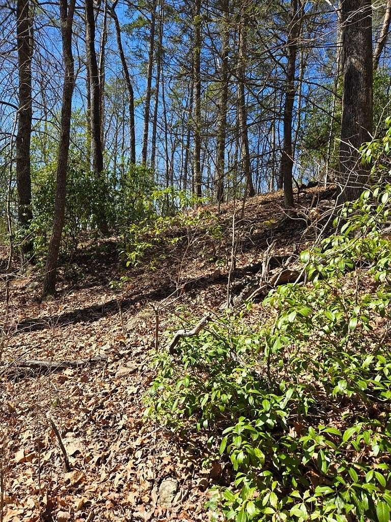 2 Acres of Land for Sale in Blue Ridge, Georgia