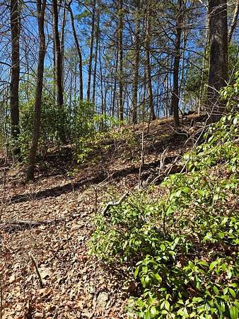 2 Acres of Land for Sale in Blue Ridge, Georgia