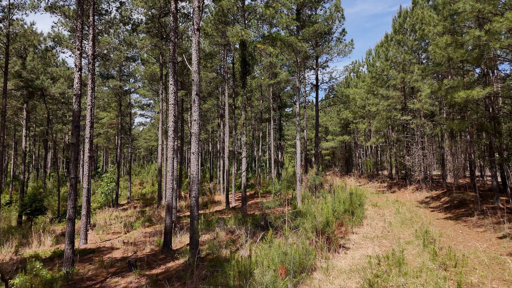 1,442 Acres of Land for Sale in Seven Lakes, North Carolina