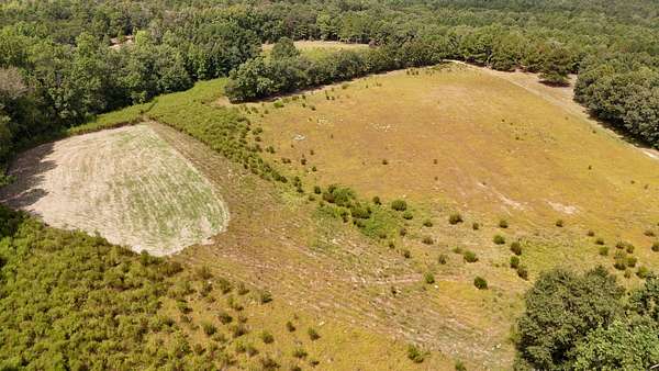 590 Acres of Land for Sale in Eagle Springs, North Carolina