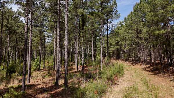 1,442 Acres of Land for Sale in Seven Lakes, North Carolina