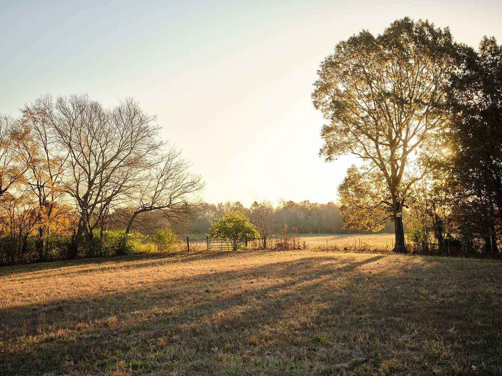 70.7 Acres of Agricultural Land for Sale in Fairview, Tennessee
