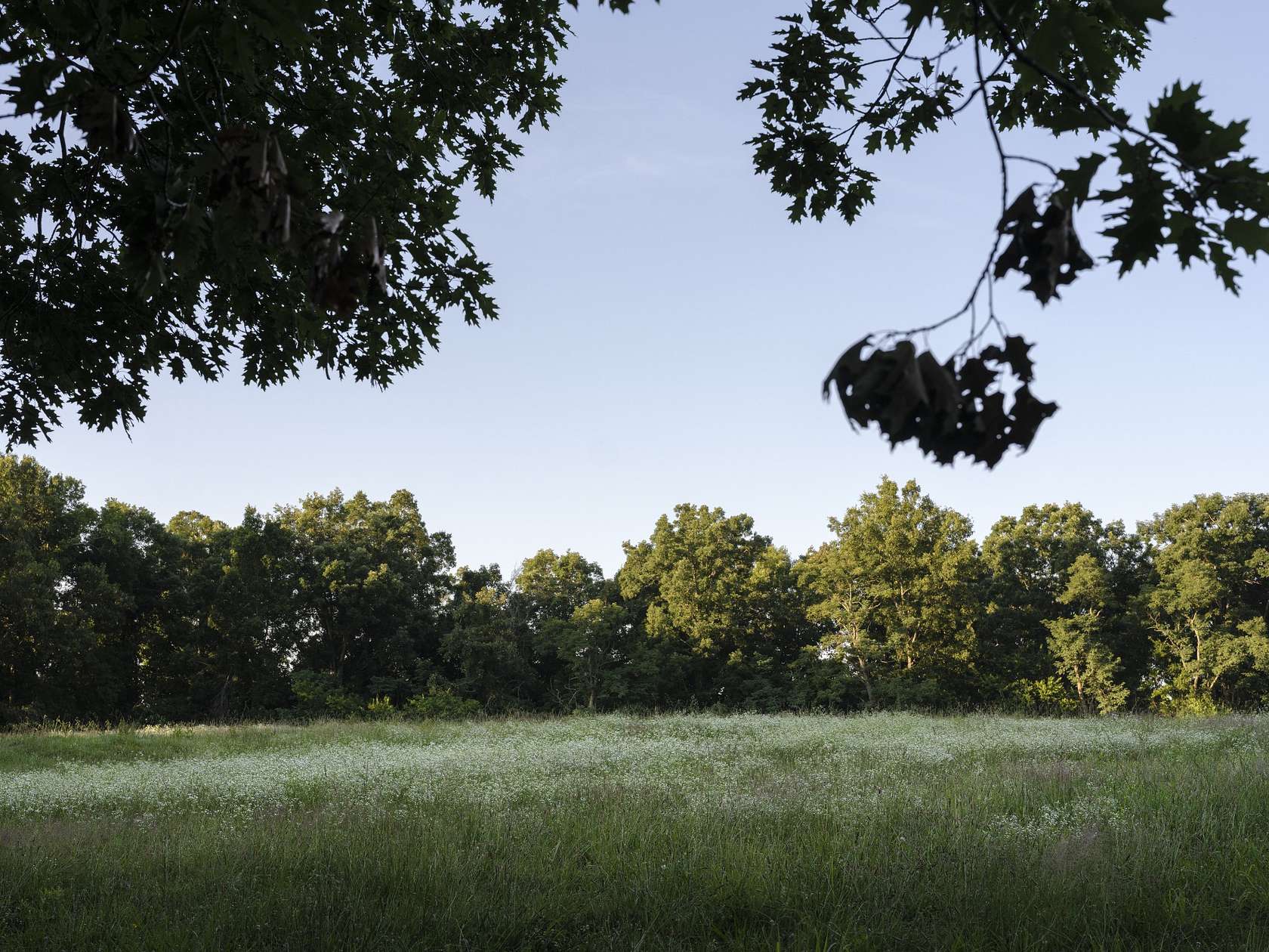 70.7 Acres of Agricultural & Residential Land for Sale in Fairview, Tennessee