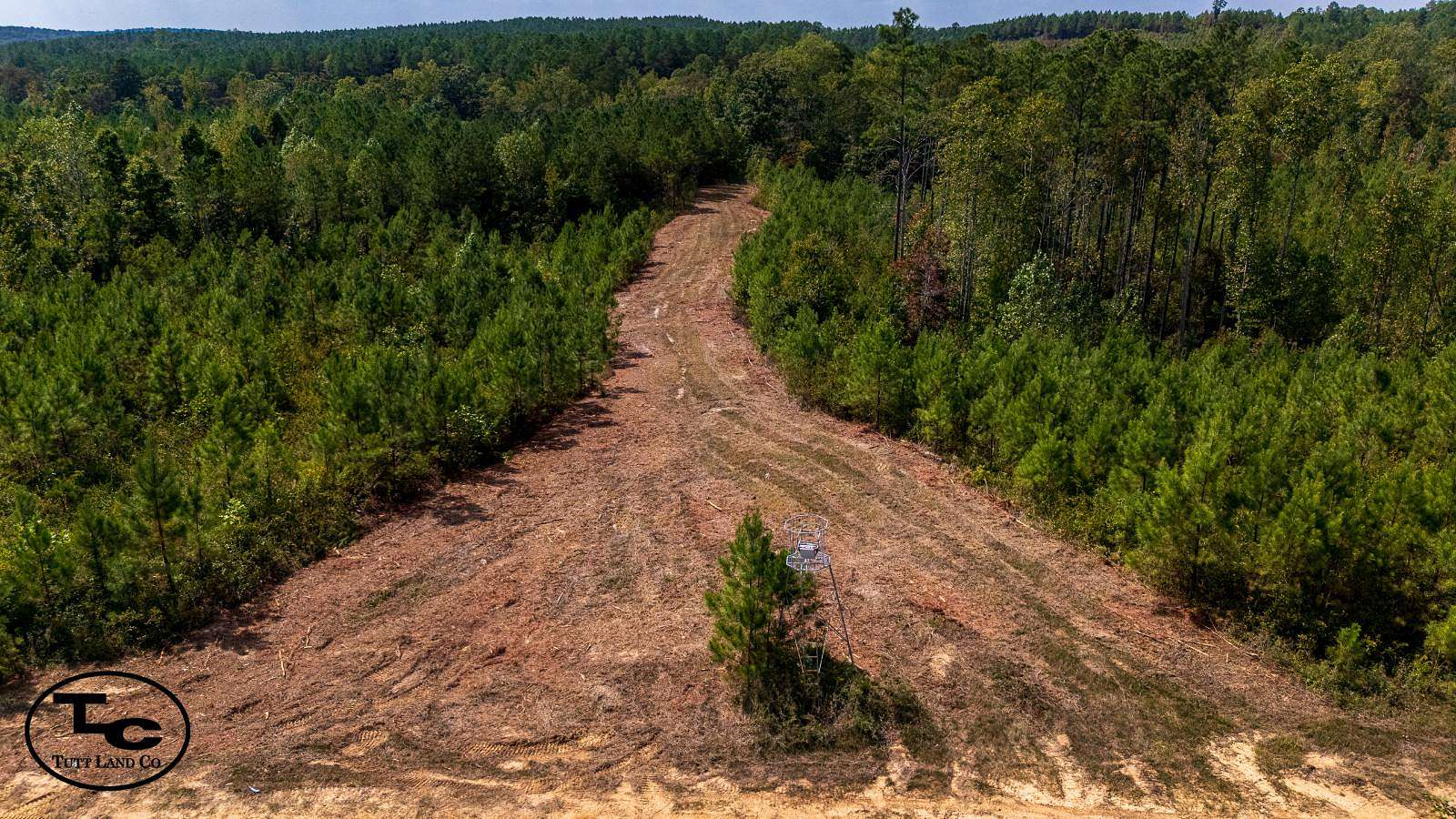 77 Acres of Recreational Land & Farm for Sale in Henderson, Tennessee