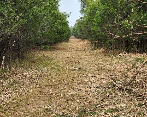 68 Acres of Recreational Land for Sale in Franklin, Tennessee