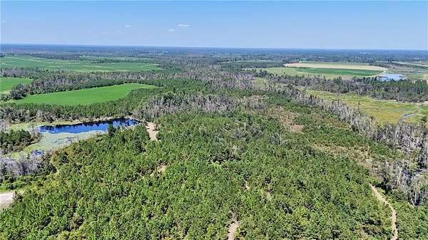 371 Acres of Recreational Land for Sale in Hazlehurst, Georgia