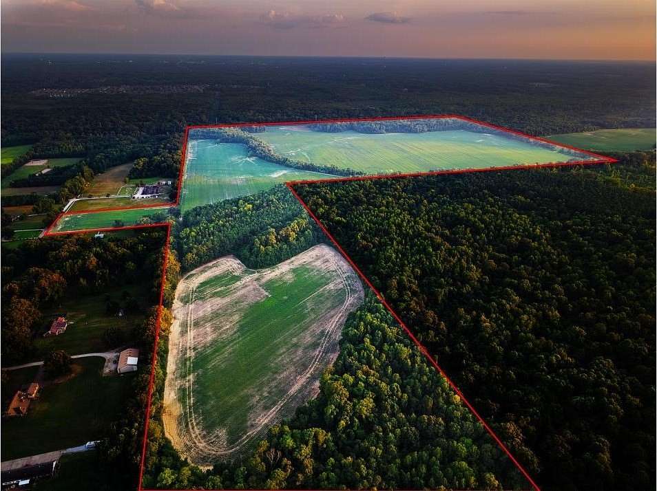 255 Acres of Land for Sale in Lakeland, Tennessee