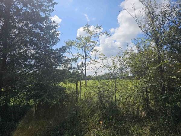 3 Acres of Land for Sale in Beckville, Texas