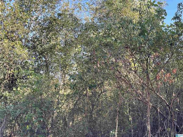 12.5 Acres of Land for Sale in Talladega, Alabama