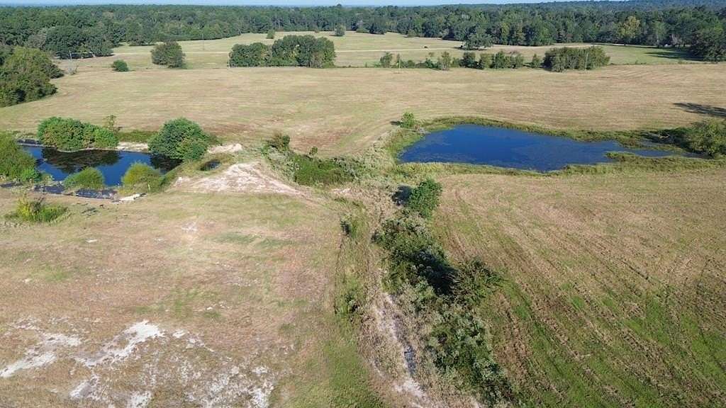 74.3 Acres of Agricultural & Residential Land for Sale in Lovelady, Texas