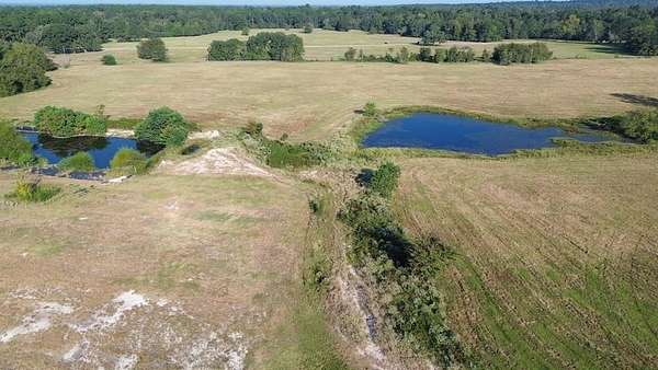 74.3 Acres of Agricultural & Residential Land for Sale in Lovelady, Texas