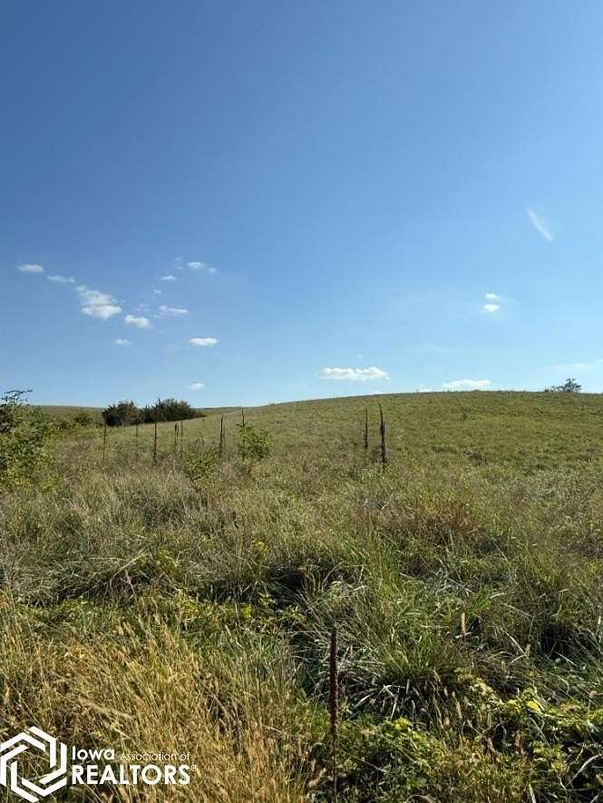 36.4 Acres of Agricultural Land for Sale in Lucas, Iowa