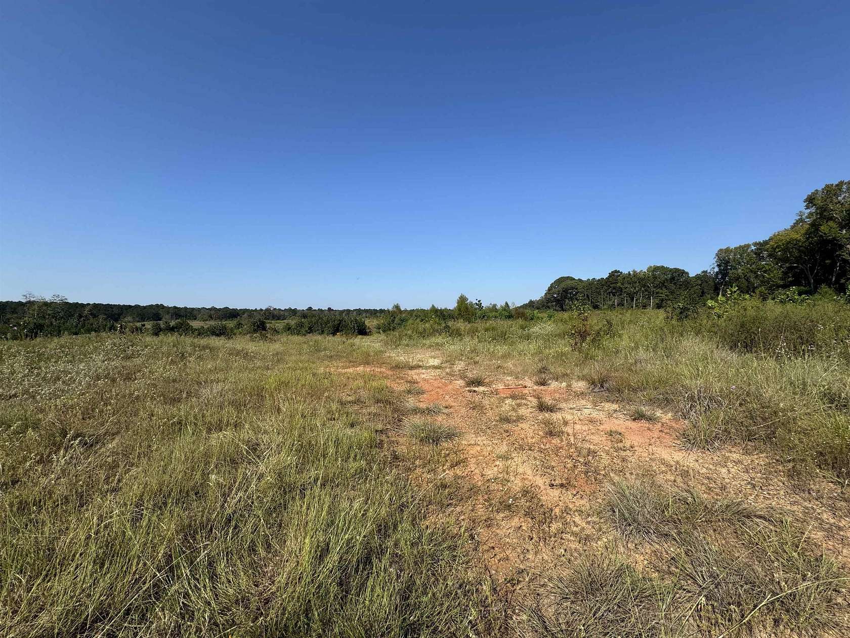 25 Acres of Mixed-Use Land for Sale in Brookeland, Texas