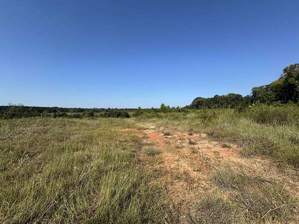 25 Acres of Mixed-Use Land for Sale in Brookeland, Texas