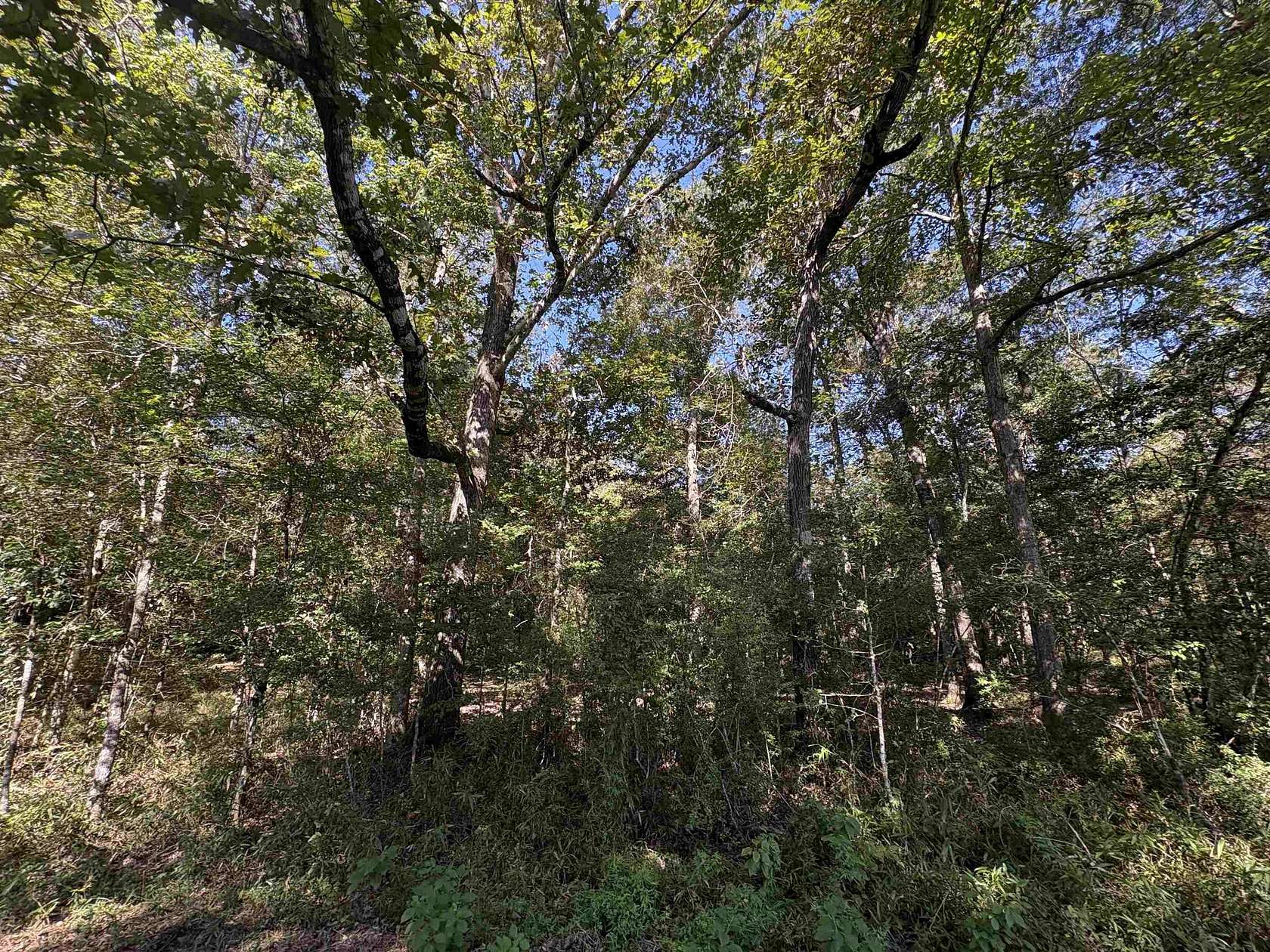 15.7 Acres of Land for Sale in Thicket, Texas