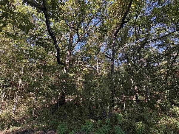 15.7 Acres of Land for Sale in Thicket, Texas